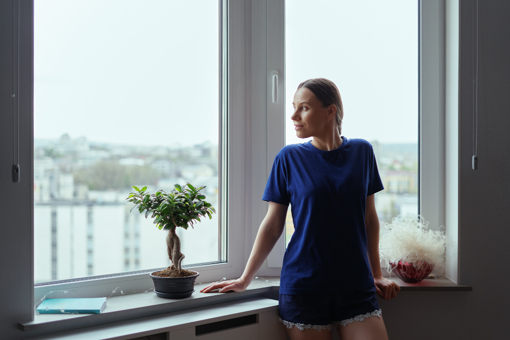 Orlando Vinyl Windows